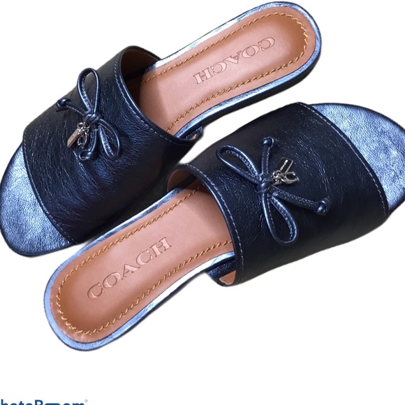 Coach Leather Metallic Blue Tassel Logo Sandals - Picture 5 of 10